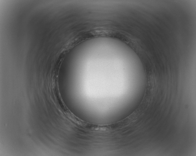 X0000081350751200701111106