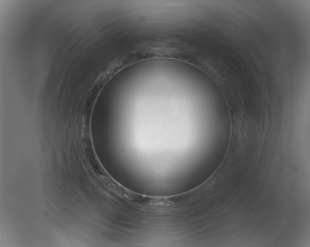X0000081350752200701111106