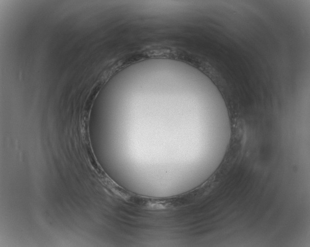 X0000081350753200701111106