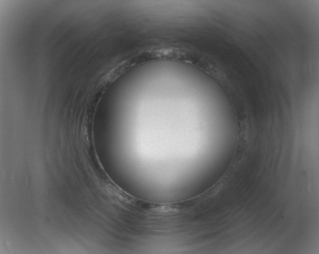 X0000081350754200701111106