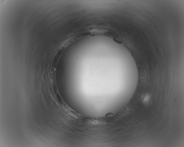 X0000081350755200701111106