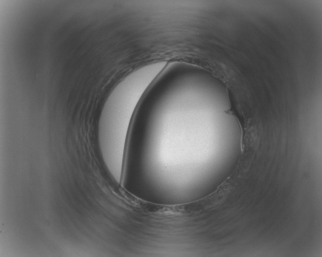 X0000081350756200701111106