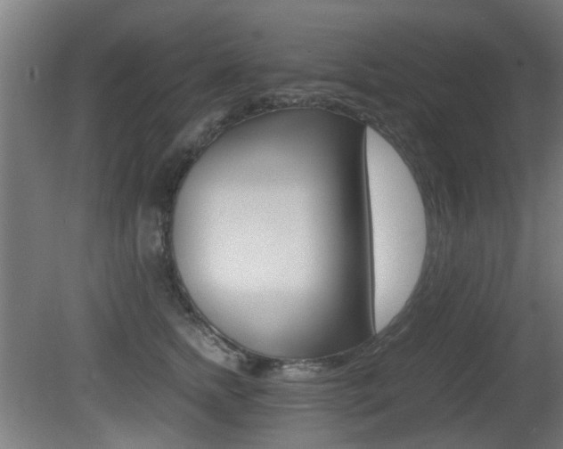 X0000081350758200701111106