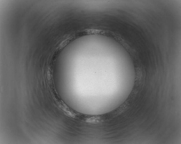 X0000081350761200701111106