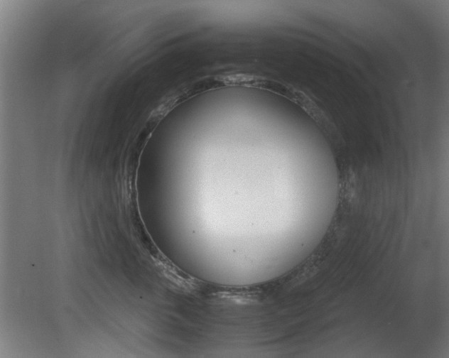 X0000081350763200701111106