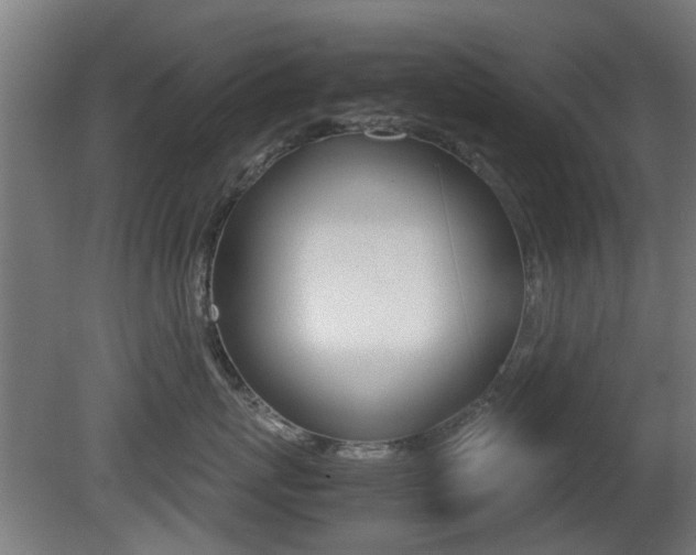 X0000081350767200701111106