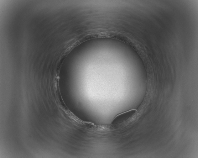 X0000081350768200701111106