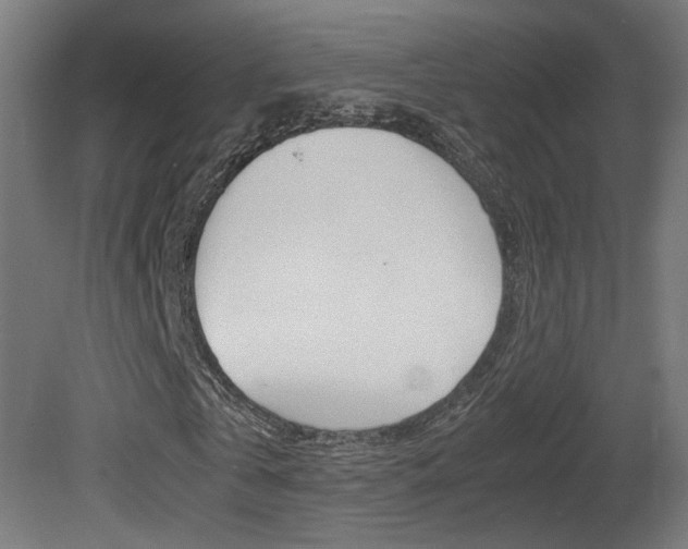 X0000081350769200701111105