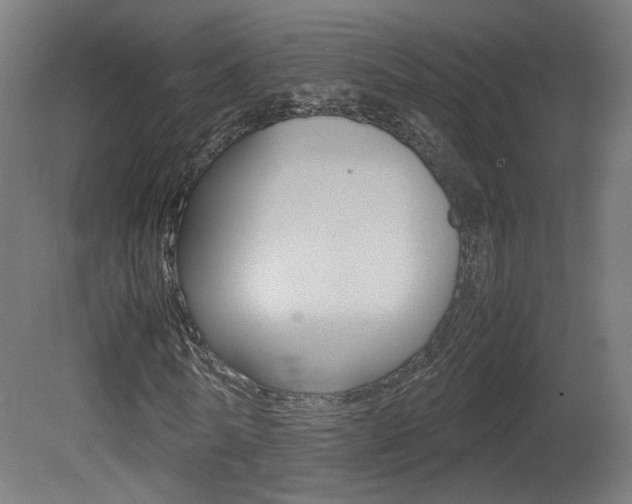 X0000081350770200701111105