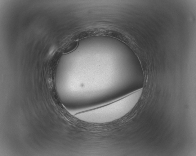X0000081350771200701111105