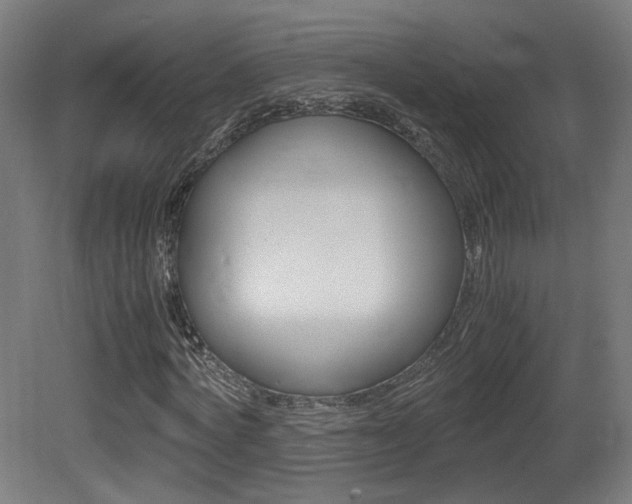 X0000081350772200701111105