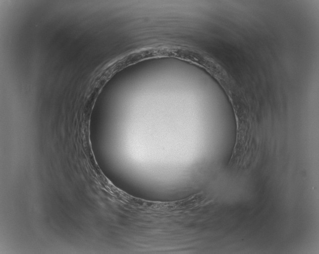 X0000081350773200701111105