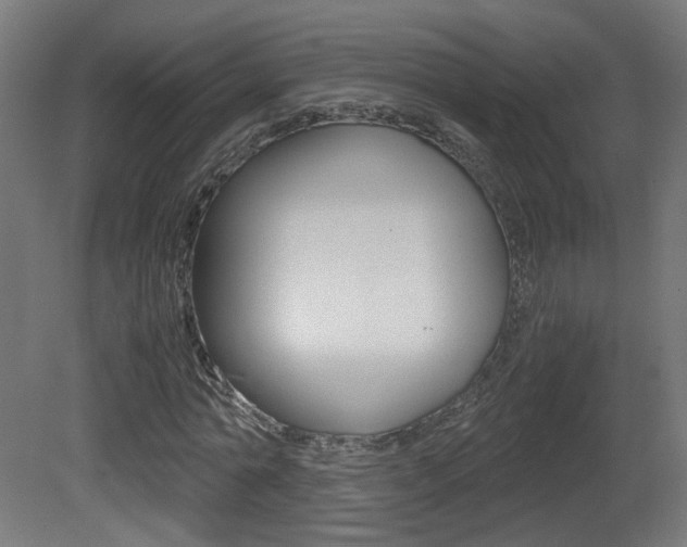 X0000081350774200701111105