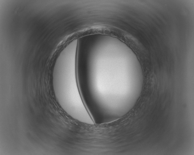 X0000081350776200701111105