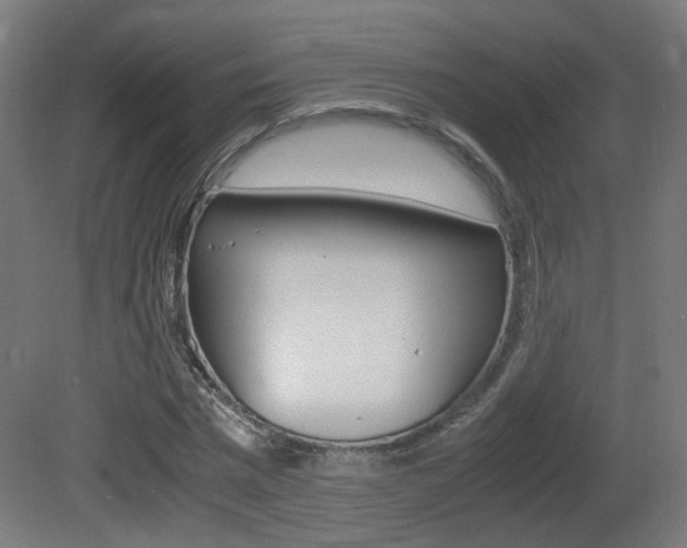 X0000081350777200701111105