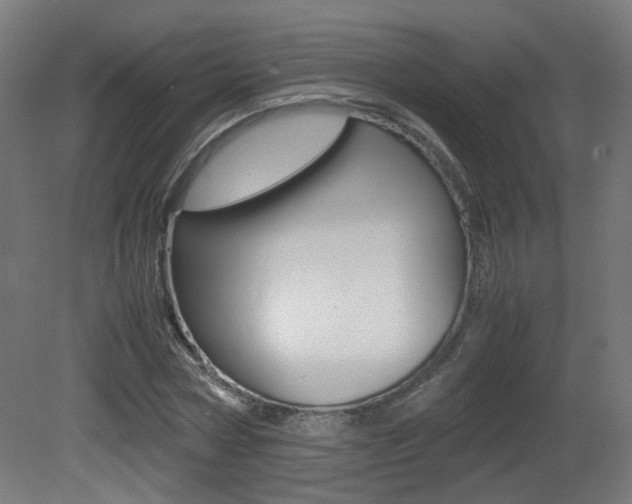 X0000081350778200701111105