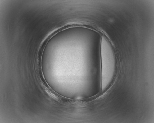 X0000081350779200701111105