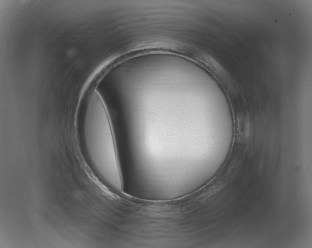 X0000081350780200701111105