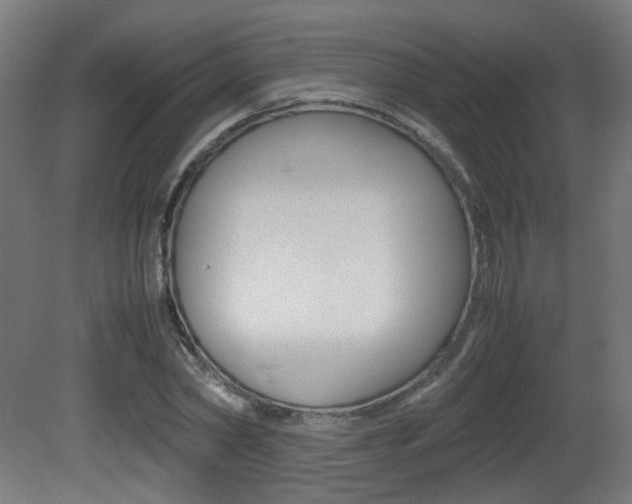 X0000081350782200701111105
