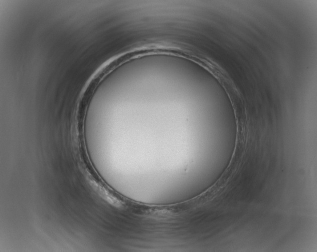 X0000081350784200701111105