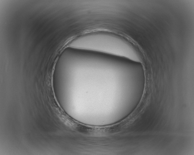 X0000081350785200701111105