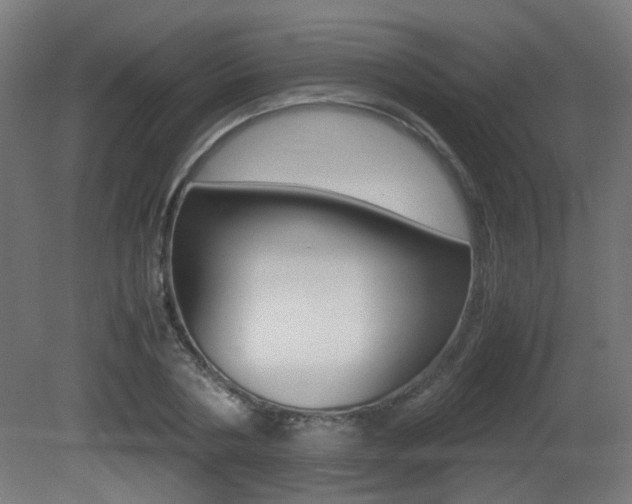 X0000081350786200701111105