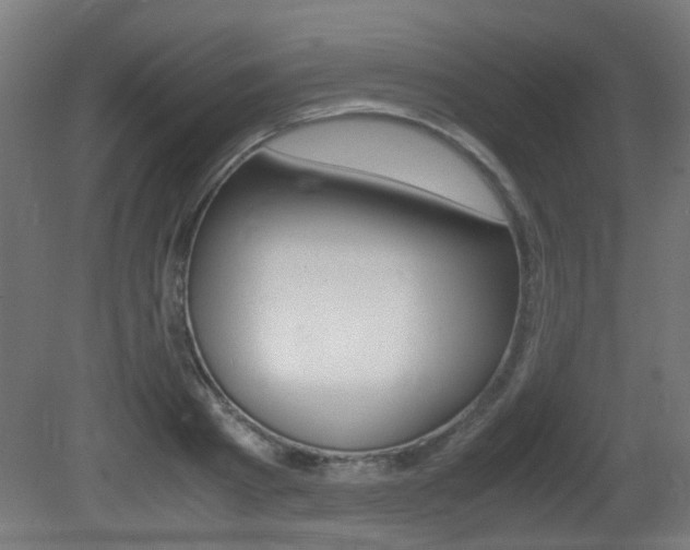 X0000081350793200701111105