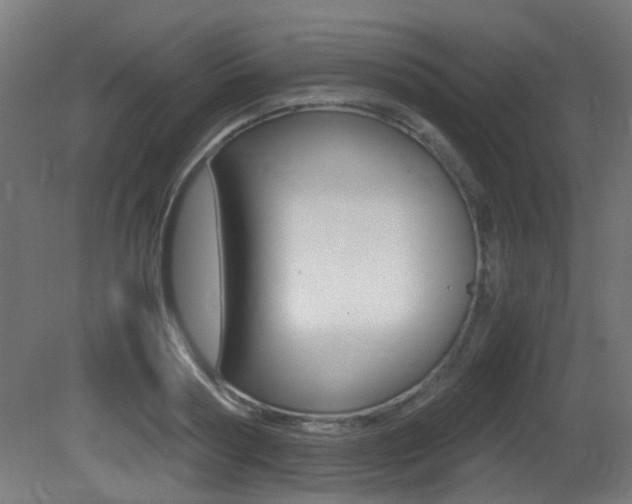 X0000081350794200701111105