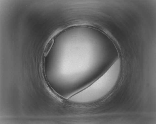 X0000081350797200701111105