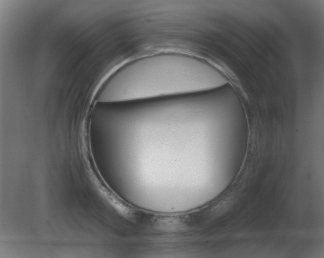 X0000081350798200701111104