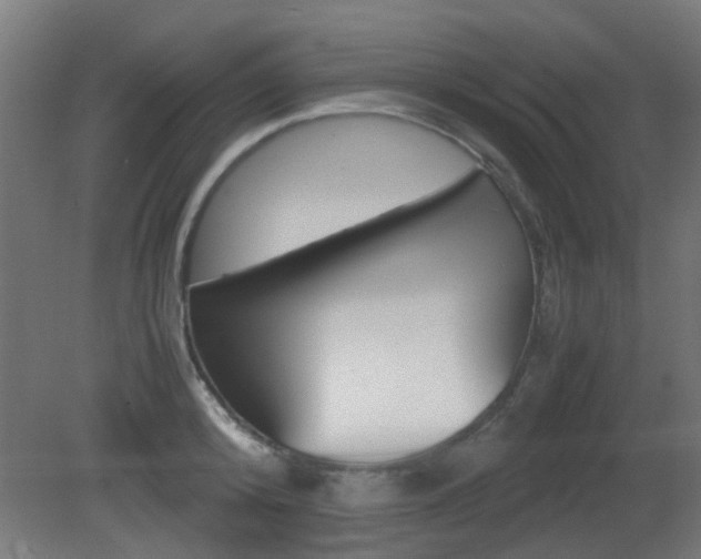 X0000081350800200701111104