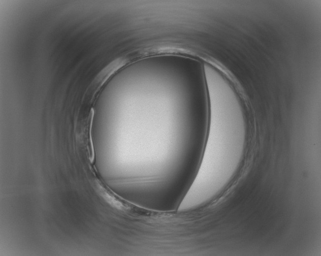 X0000081350801200701111104