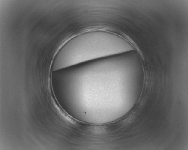 X0000081350802200701111104