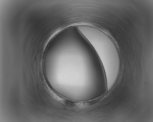X0000081350805200701111104