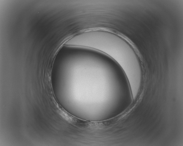 X0000081350809200701111104
