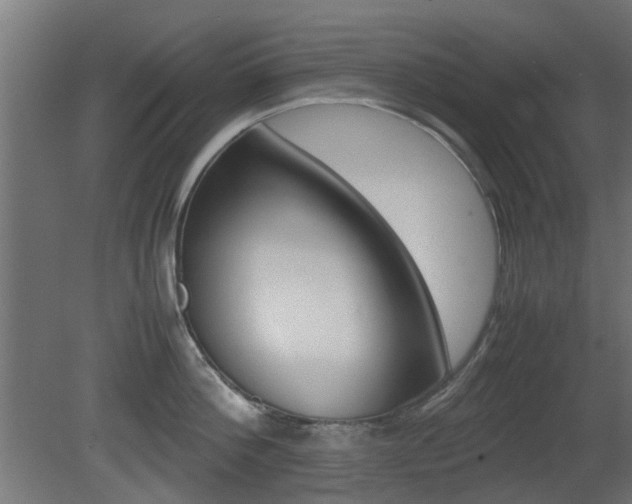 X0000081350812200701111104