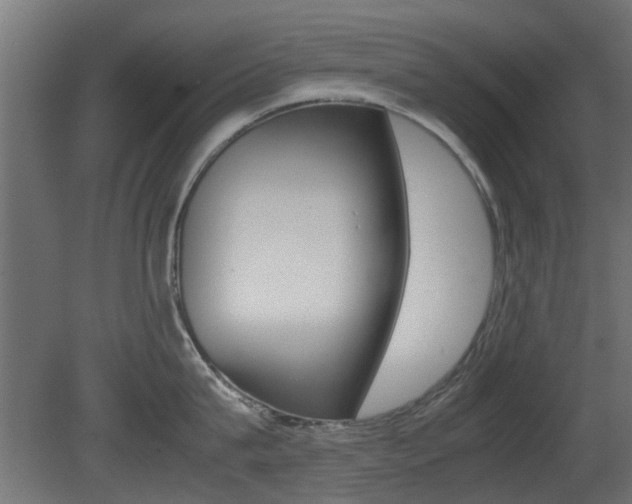 X0000081350815200701111104