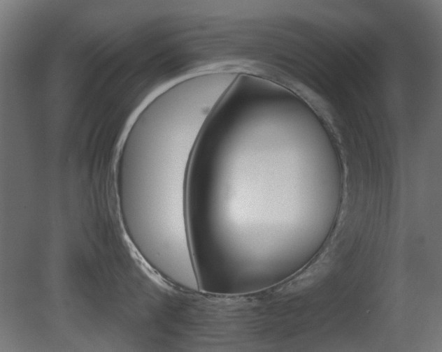 X0000081350816200701111104