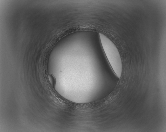 X0000081350817200701111103