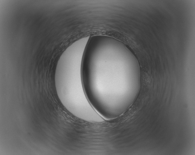 X0000081350818200701111103