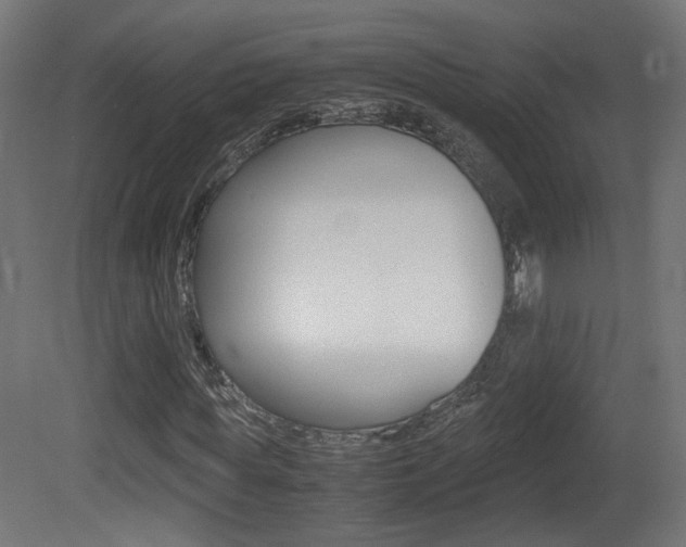 X0000081350819200701111103