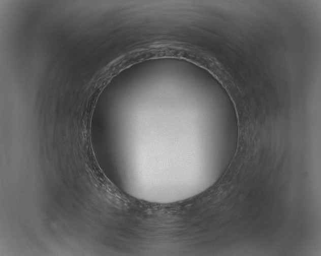 X0000081350821200701111103