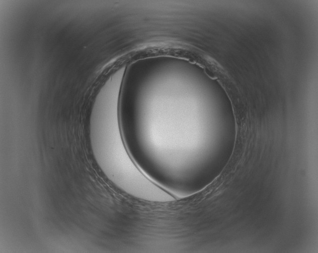 X0000081350822200701111103