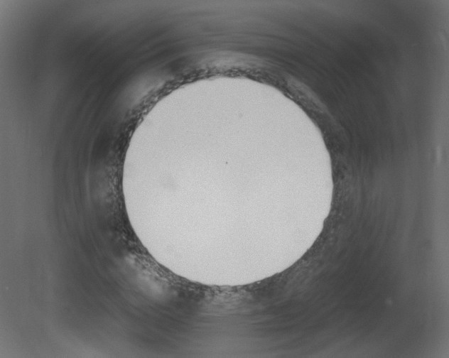 X0000081350824200701111103