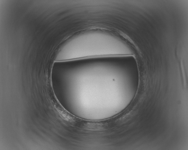 X0000081350825200701111103