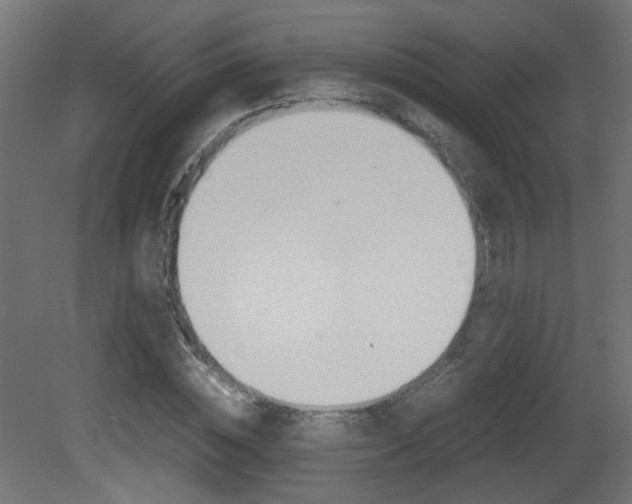X0000081350828200701111104