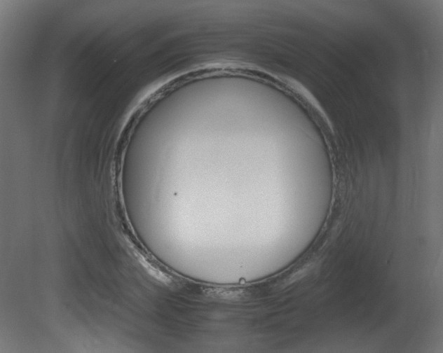 X0000081350831200701111104