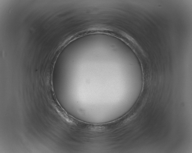 X0000081350833200701111104