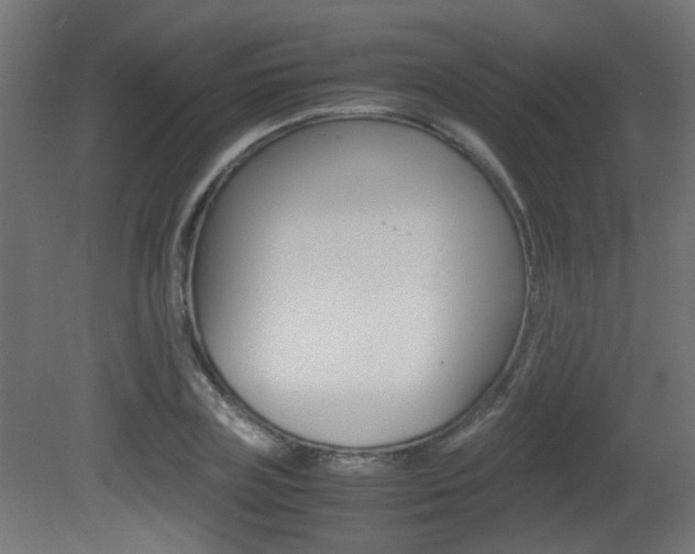 X0000081350835200701111104