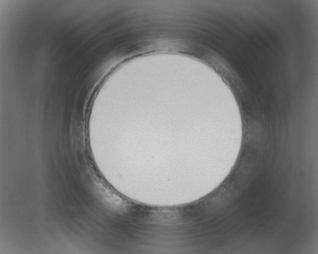 X0000081350836200701111104